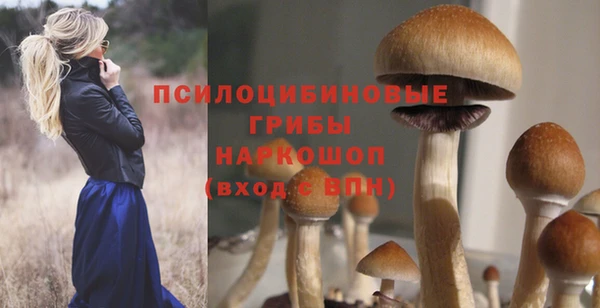 дживик Нефтекумск