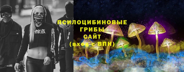 МДПВ Арсеньев