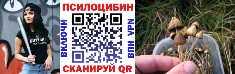 Галлюциногенные грибы ЛСД  даркнет какой сайт  Арсеньев  кракен сайт 